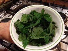 Chopped Nettle Leaves