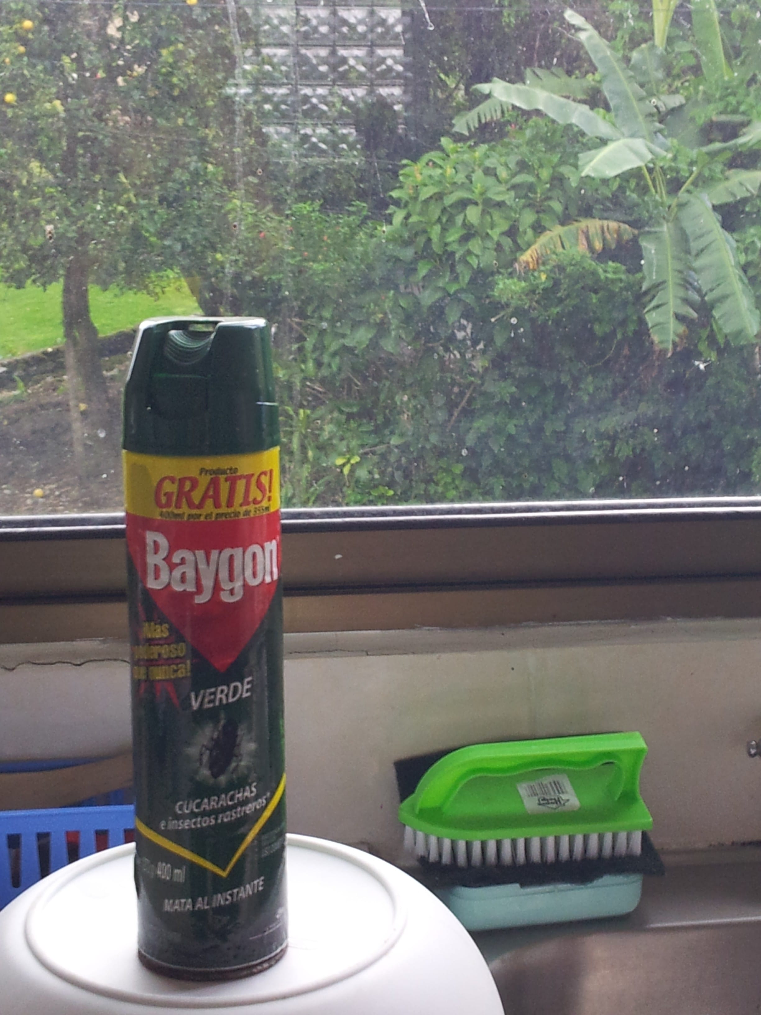 Use a Chemical Roach Killer?