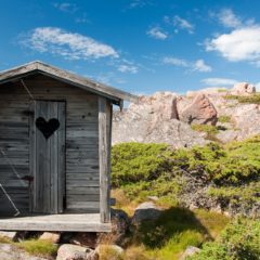 Is Diarrhea really a Cleansing Reaction?