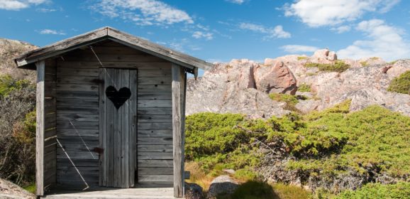 Is Diarrhea really a Cleansing Reaction?