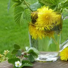 8 Kidney Cleansing Recipes