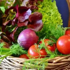 Understanding Detoxification