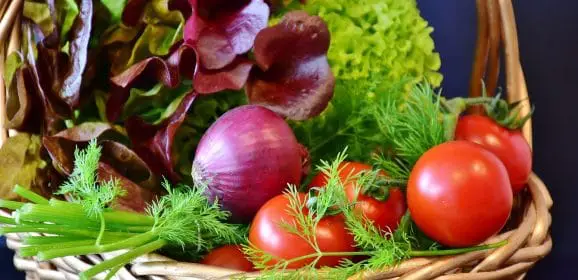 Understanding Detoxification